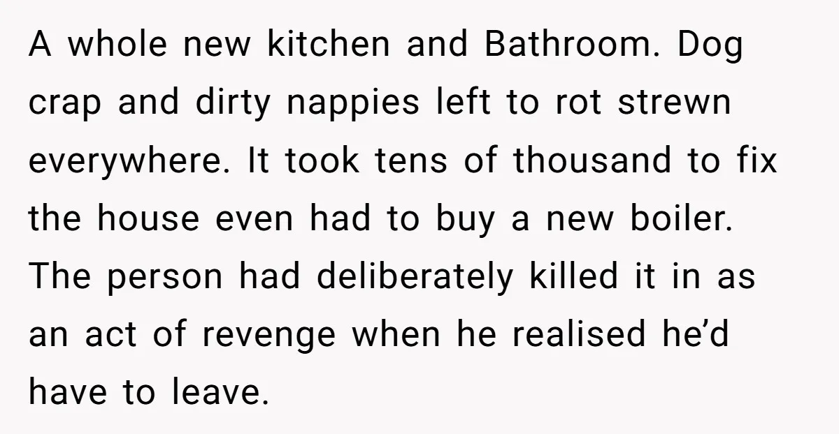 A whole new kitchen and Bathroom. Dog crap and dirty nappies left to rot strewn everywhere. It took tens of thousand to fix the house even had to buy a...