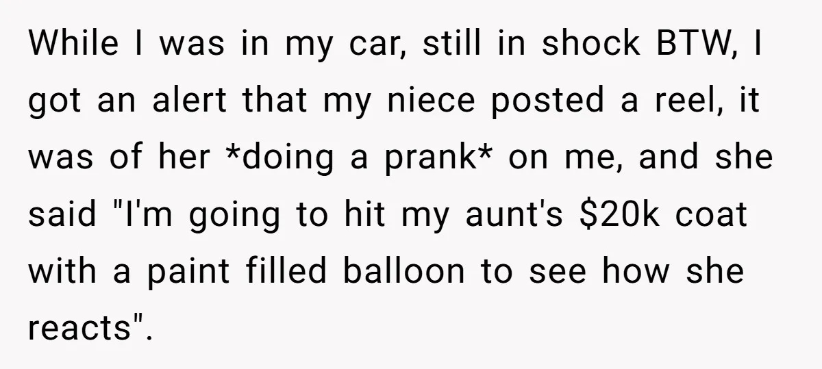 While I was in my car, still in shock BTW, I got an alert that my niece posted a reel, it was of her *doing a prank* on me, and...