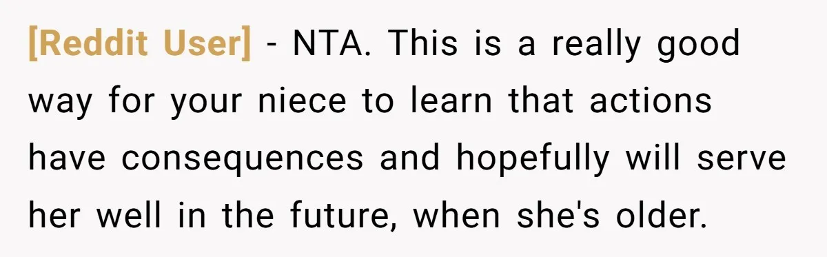 [Reddit User] − NTA. This is a really good way for your niece to learn that actions have consequences and hopefully will serve her well in the future, when she's...