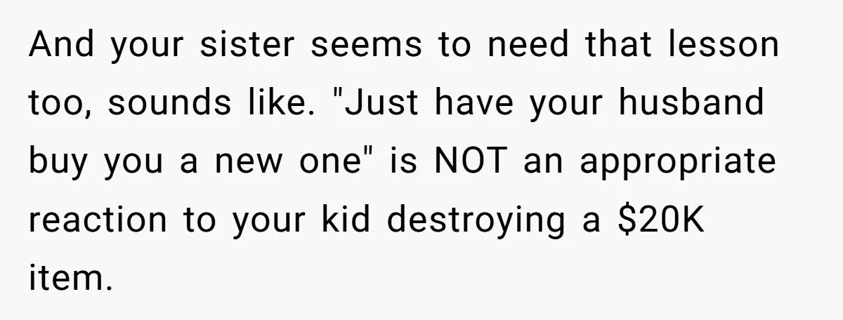 And your sister seems to need that lesson too, sounds like. "Just have your husband buy you a new one" is NOT an appropriate reaction to your kid destroying a...