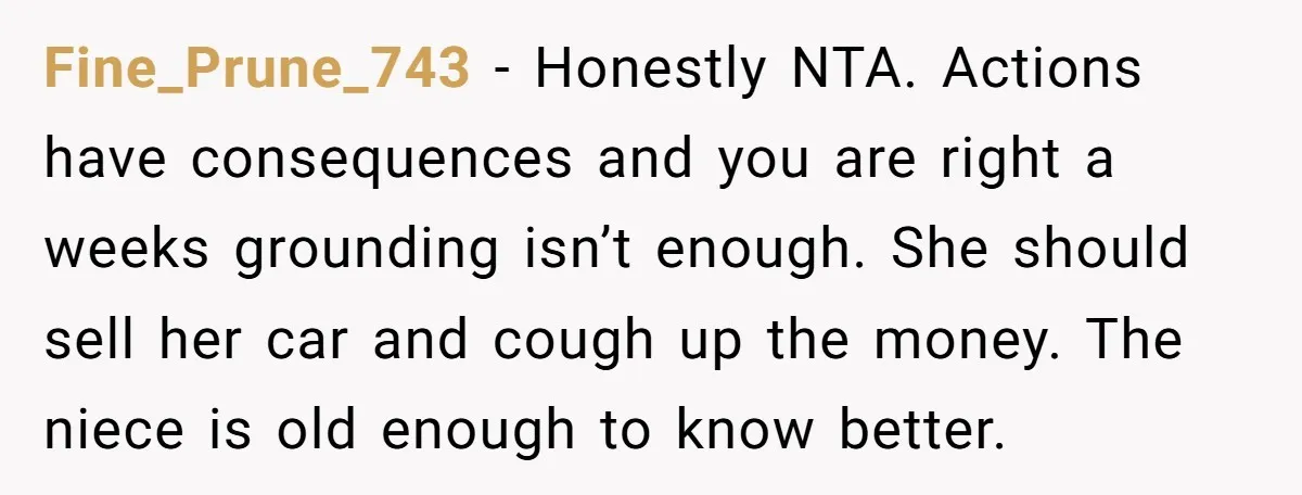 Fine_Prune_743 − Honestly NTA. Actions have consequences and you are right a weeks grounding isn’t enough. She should sell her car and cough up the money. The niece is old...