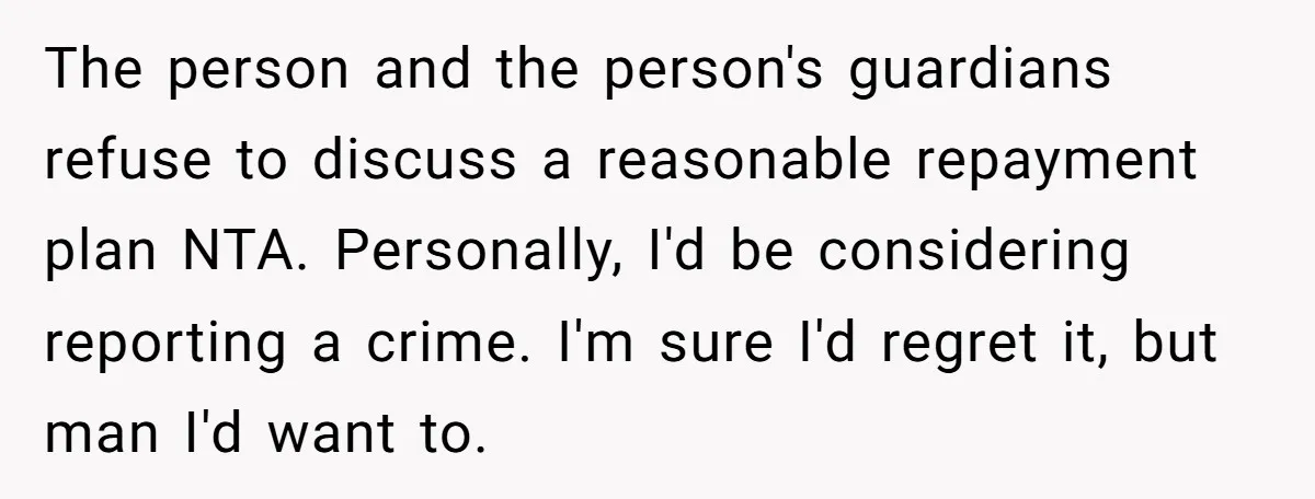 The person and the person's guardians refuse to discuss a reasonable repayment plan NTA. Personally, I'd be considering reporting a crime. I'm sure I'd regret it, but man I'd want...