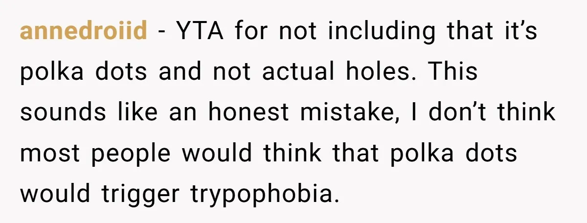 annedroiid − YTA for not including that it’s polka dots and not actual holes. This sounds like an honest mistake, I don’t think most people would think that polka dots...