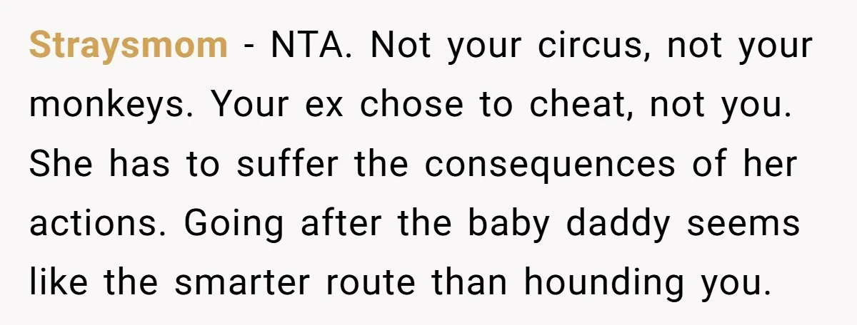 Straysmom − NTA. Not your circus, not your monkeys. Your ex chose to cheat, not you. She has to suffer the consequences of her actions. Going after the baby daddy...