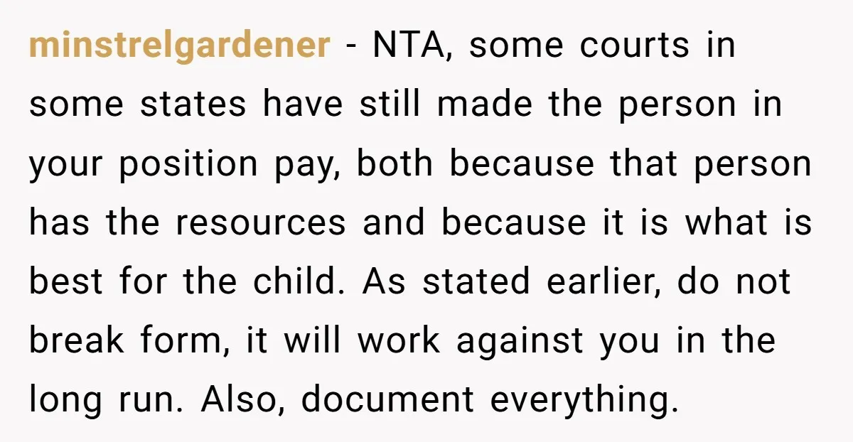 minstrelgardener − NTA, some courts in some states have still made the person in your position pay, both because that person has the resources and because it is what is...