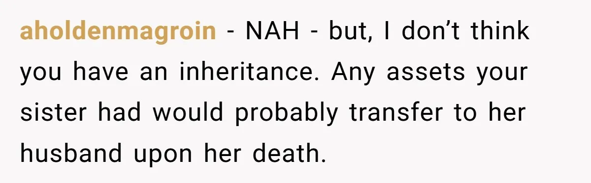 aholdenmagroin - NAH - but, I don’t think you have an inheritance. Any assets your sister had would probably transfer to her husband upon her death.