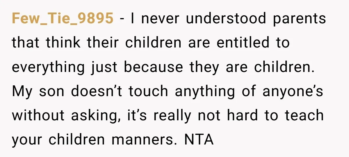 Few_Tie_9895 − I never understood parents that think their children are entitled to everything just because they are children. My son doesn’t touch anything of anyone’s without asking, it’s really...