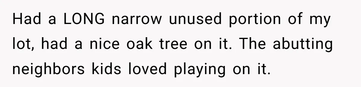 Had a LONG narrow unused portion of my lot, had a nice oak tree on it. The abutting neighbors kids loved playing on it.