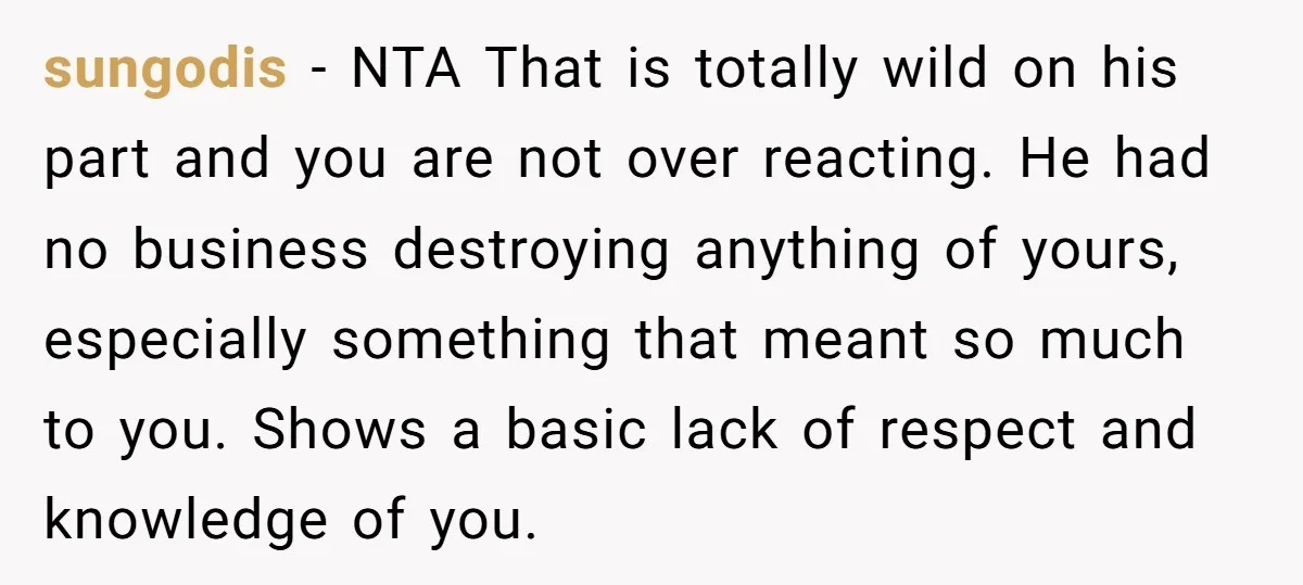 sungodis − NTA That is totally wild on his part and you are not over reacting. He had no business destroying anything of yours, especially something that meant so much...