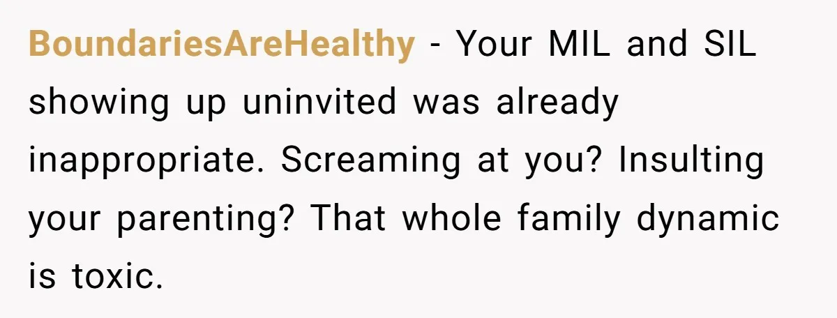 BoundariesAreHealthy - Your MIL and SIL showing up uninvited was already inappropriate. Screaming at you? Insulting your parenting? That whole family dynamic is toxic.