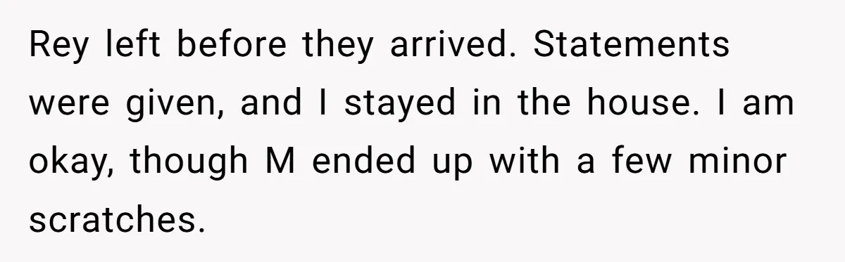 Rey left before they arrived. Statements were given, and I stayed in the house. I am okay, though M ended up with a few minor scratches.