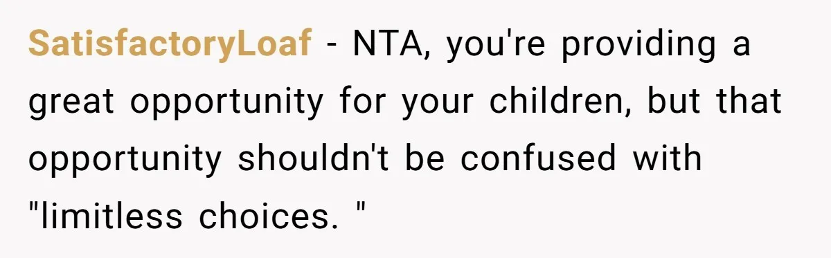 SatisfactoryLoaf − NTA, you're providing a great opportunity for your children, but that opportunity shouldn't be confused with "limitless choices. "