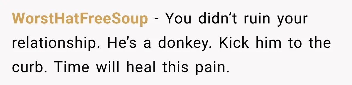 WorstHatFreeSoup − You didn’t ruin your relationship. He’s a donkey. Kick him to the curb. Time will heal this pain.