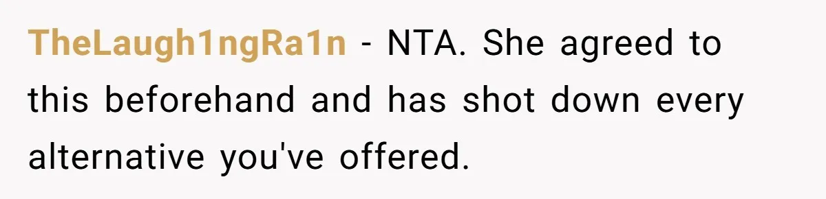 TheLaugh1ngRa1n − NTA. She agreed to this beforehand and has shot down every alternative you've offered.