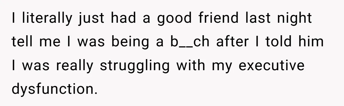 I literally just had a good friend last night tell me I was being a b__ch after I told him I was really struggling with my executive dysfunction.