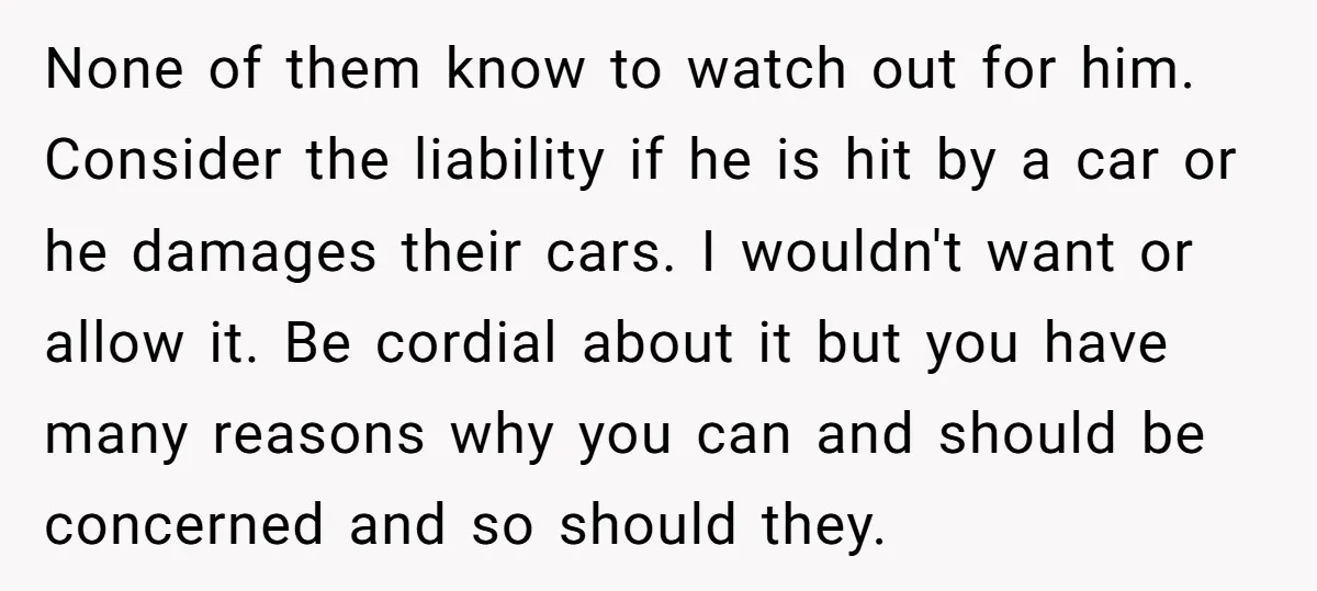None of them know to watch out for him. Consider the liability if he is hit by a car or he damages their cars. I wouldn't want or allow it....