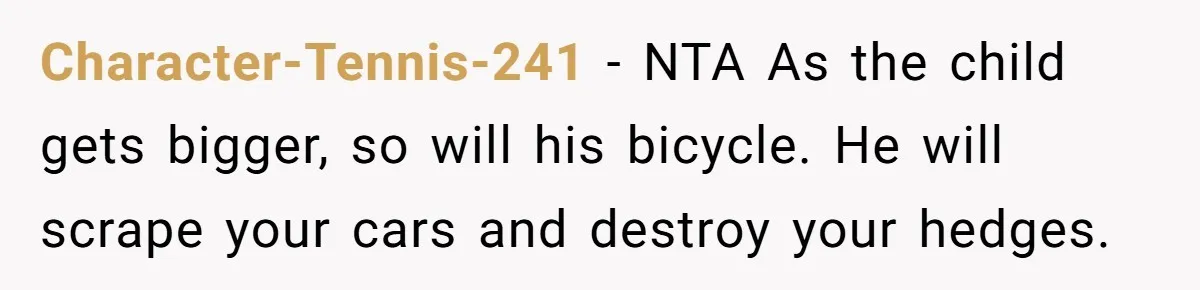 Character-Tennis-241 − NTA As the child gets bigger, so will his bicycle. He will scrape your cars and destroy your hedges.