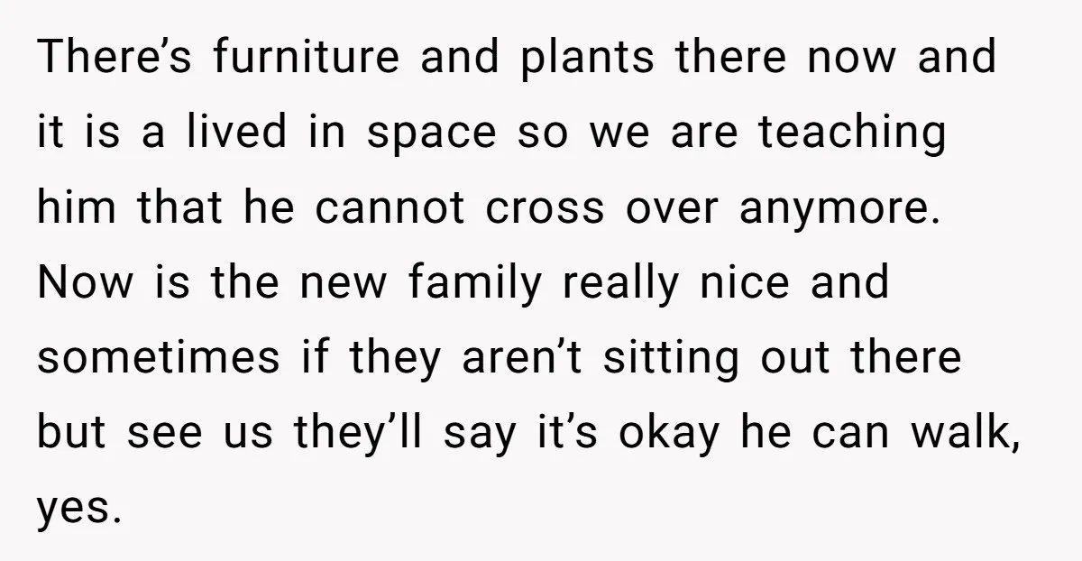 There’s furniture and plants there now and it is a lived in space so we are teaching him that he cannot cross over anymore. Now is the new family really...