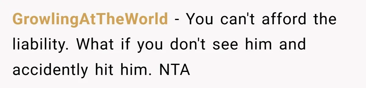 GrowlingAtTheWorld − You can't afford the liability. What if you don't see him and accidently hit him. NTA