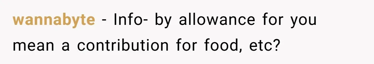 wannabyte - Info- by allowance for you mean a contribution for food, etc?