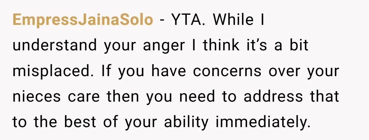 EmpressJainaSolo − YTA. While I understand your anger I think it’s a bit misplaced. If you have concerns over your nieces care then you need to address that to the...
