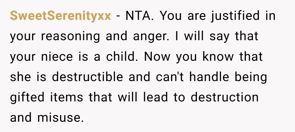SweetSerenityxx − NTA. You are justified in your reasoning and anger. I will say that your niece is a child. Now you know that she is destructible and can't handle...