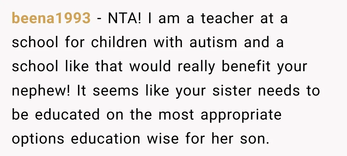beena1993 − NTA! I am a teacher at a school for children with autism and a school like that would really benefit your nephew! It seems like your sister needs...