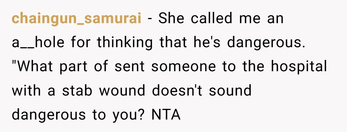 chaingun_samurai − She called me an a__hole for thinking that he's dangerous. "What part of sent someone to the hospital with a stab wound doesn't sound dangerous to you? NTA