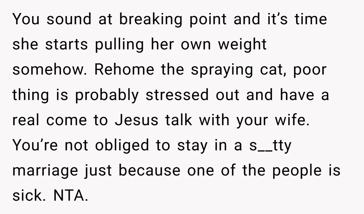 You sound at breaking point and it’s time she starts pulling her own weight somehow. Rehome the spraying cat, poor thing is probably stressed out and have a real come...