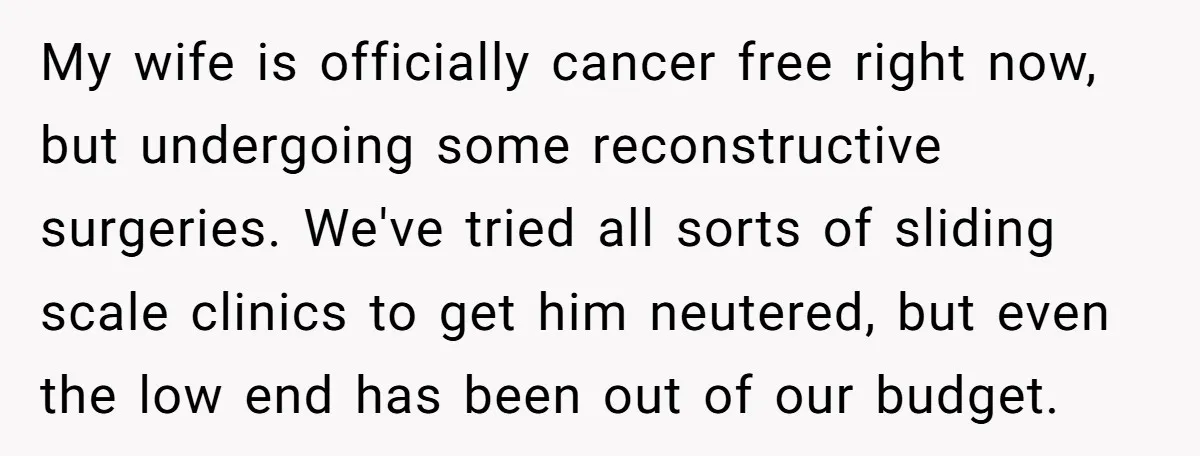 My wife is officially cancer free right now, but undergoing some reconstructive surgeries. We've tried all sorts of sliding scale clinics to get him neutered, but even the low end...
