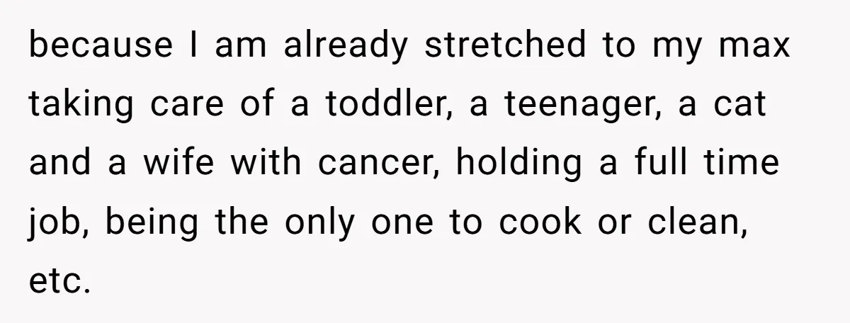 because I am already stretched to my max taking care of a toddler, a teenager, a cat and a wife with cancer, holding a full time job, being the only...