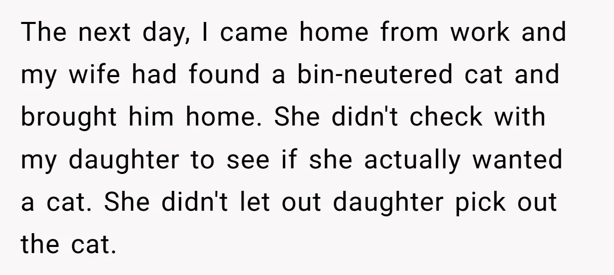 The next day, I came home from work and my wife had found a bin-neutered cat and brought him home. She didn't check with my daughter to see if she...