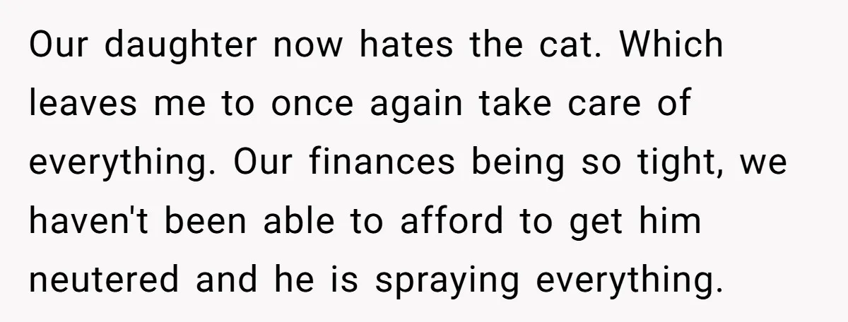 Our daughter now hates the cat. Which leaves me to once again take care of everything. Our finances being so tight, we haven't been able to afford to get him...