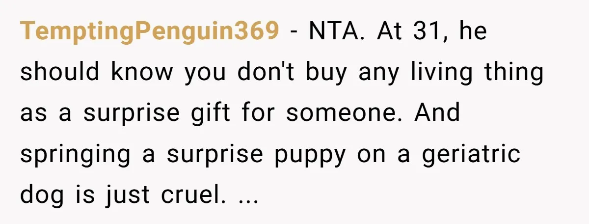 TemptingPenguin369 - NTA. At 31, he should know you don't buy any living thing as a surprise gift for someone. And springing a surprise puppy on a geriatric dog is...