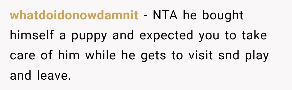 whatdoidonowdamnit - NTA he bought himself a puppy and expected you to take care of him while he gets to visit snd play and leave.