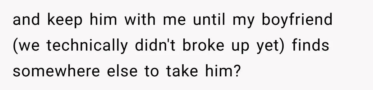 and keep him with me until my boyfriend (we technically didn't broke up yet) finds somewhere else to take him?