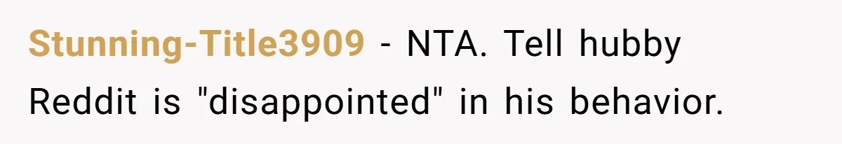 Stunning-Title3909 - NTA. Tell hubby Reddit is "disappointed" in his behavior.