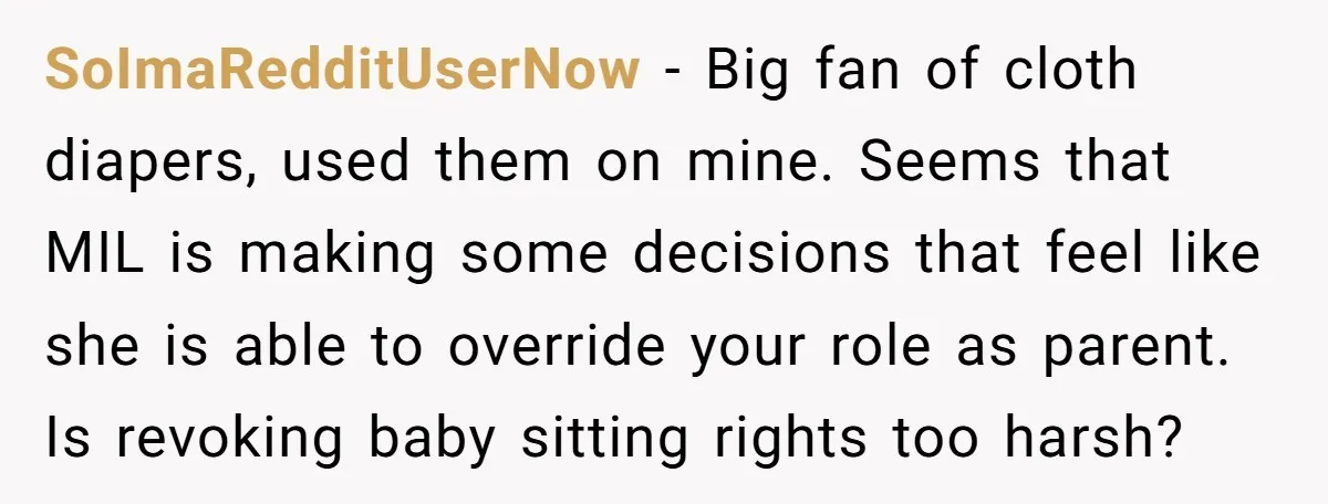 SoImaRedditUserNow − Big fan of cloth diapers, used them on mine. Seems that MIL is making some decisions that feel like she is able to override your role as parent....