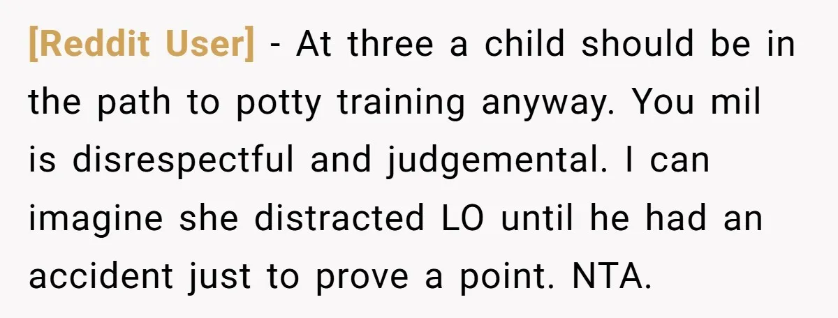 [Reddit User] − At three a child should be in the path to potty training anyway. You mil is disrespectful and judgemental. I can imagine she distracted LO until he...