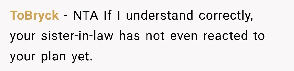 ToBryck − NTA If I understand correctly, your sister-in-law has not even reacted to your plan yet.