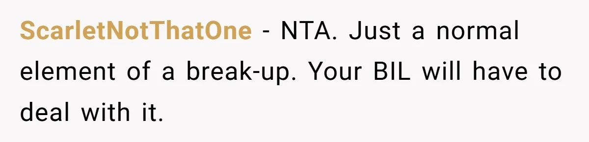 ScarletNotThatOne − NTA. Just a normal element of a break-up. Your BIL will have to deal with it.