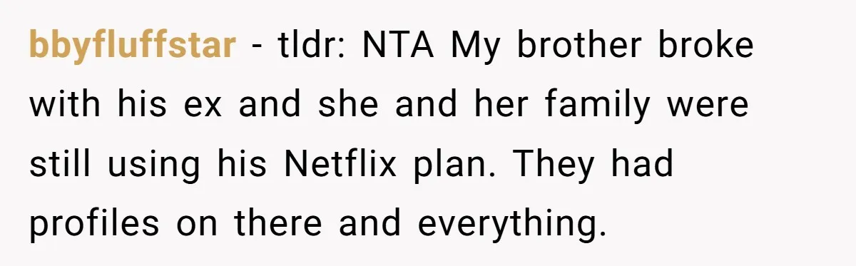 bbyfluffstar − tldr: NTA My brother broke with his ex and she and her family were still using his Netflix plan. They had profiles on there and everything.