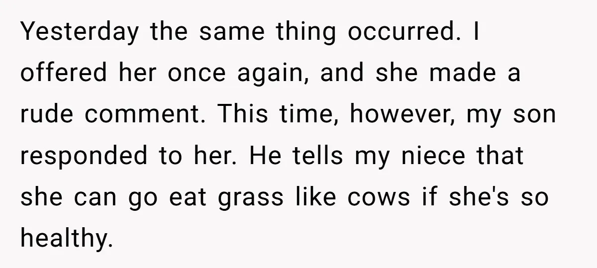 Yesterday the same thing occurred. I offered her once again, and she made a rude comment. This time, however, my son responded to her. He tells my niece that she...