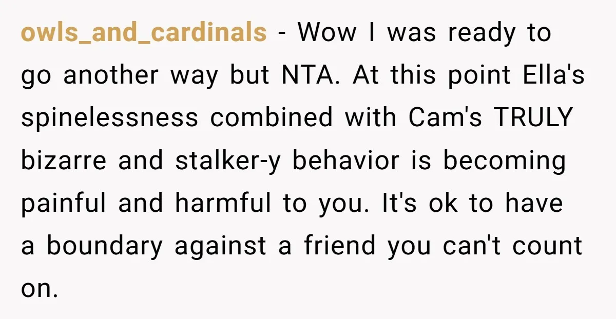owls_and_cardinals − Wow I was ready to go another way but NTA. At this point Ella's spinelessness combined with Cam's TRULY bizarre and stalker-y behavior is becoming painful and harmful...