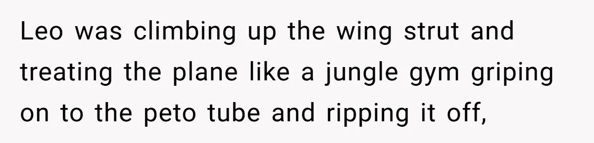 Leo was climbing up the wing strut and treating the plane like a jungle gym griping on to the peto tube and ripping it off,