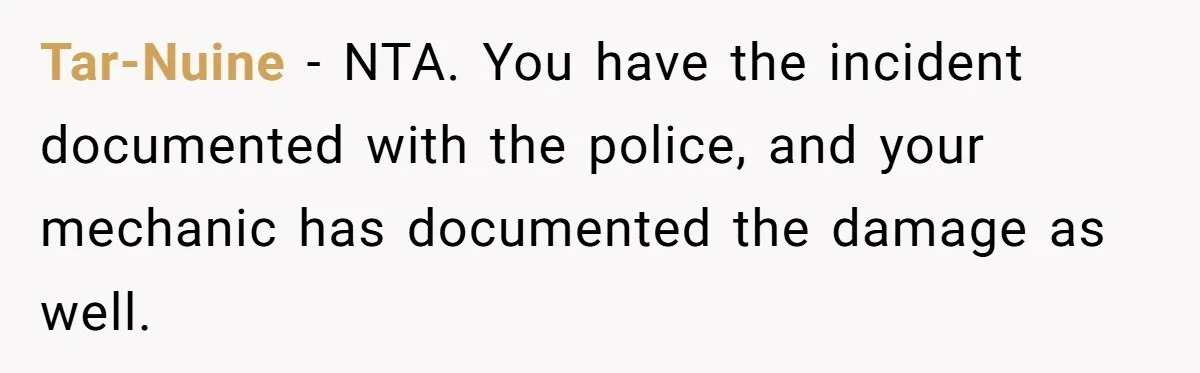 Tar-Nuine − NTA. You have the incident documented with the police, and your mechanic has documented the damage as well.