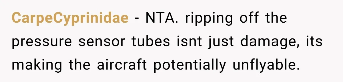 CarpeCyprinidae − NTA. ripping off the pressure sensor tubes isnt just damage, its making the aircraft potentially unflyable.