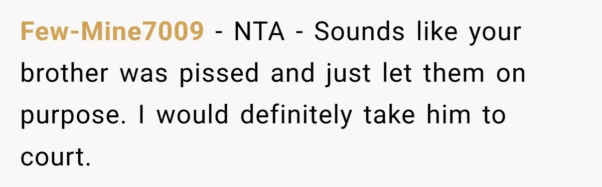Few-Mine7009 − NTA - Sounds like your brother was pissed and just let them on purpose. I would definitely take him to court.
