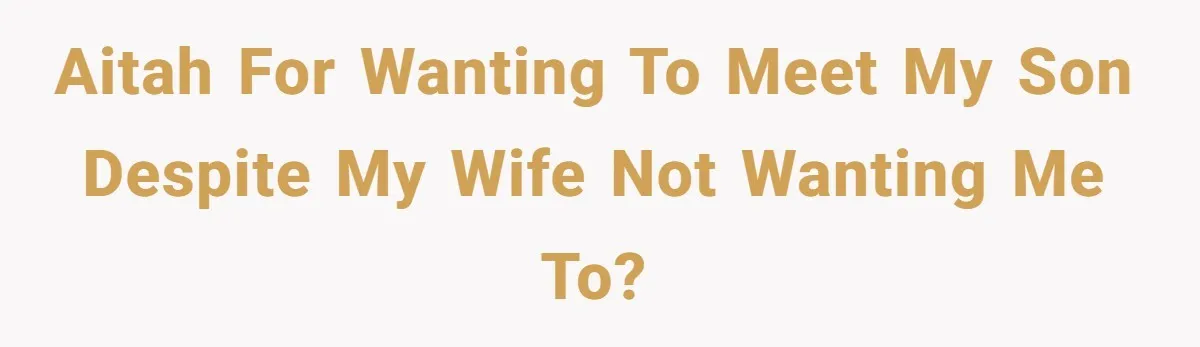 AITAH for wanting to meet my son despite my wife not wanting me to?