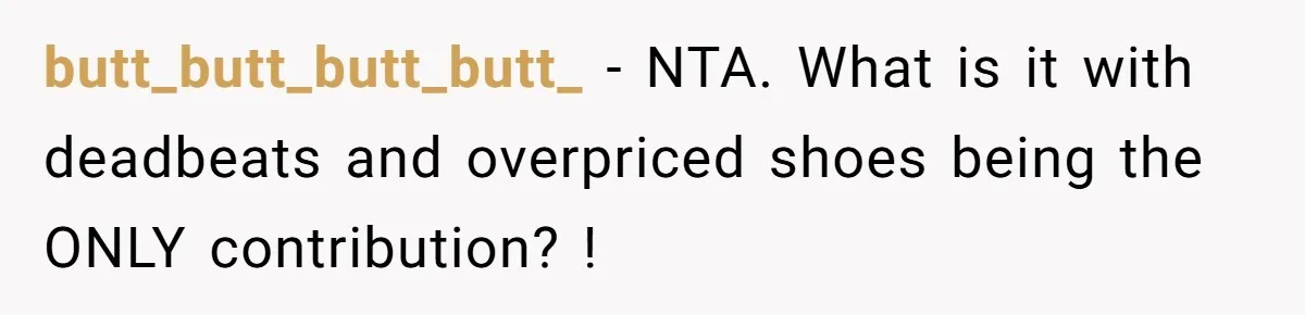 butt_butt_butt_butt_ − NTA. What is it with deadbeats and overpriced shoes being the ONLY contribution? !